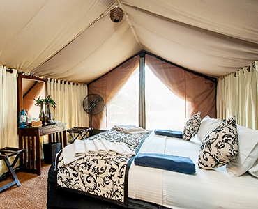 Standard Tents - Leopard Trails - Yala - Sri Lanka In Style